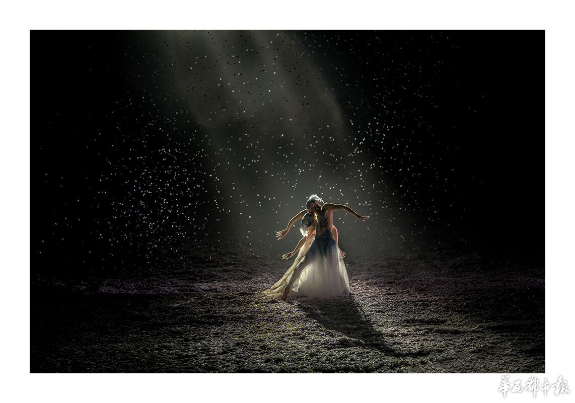 孔雀”杨丽萍再临蓉城 独舞惊艳|杨丽萍|孔雀|独舞_新浪新闻