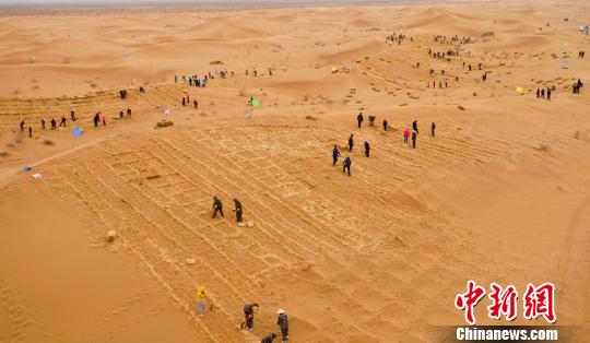 目前,当地已建成防风固沙林27.1万亩,阻沙林带187公里,农田防护和生态经济林15万亩,封育荒漠植被50万亩,森林覆盖率达16.67%。 宋鑫 摄