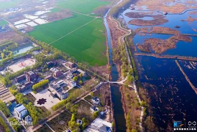 专家:经济学人智库怎么看雄安新区|外贸|浦东新