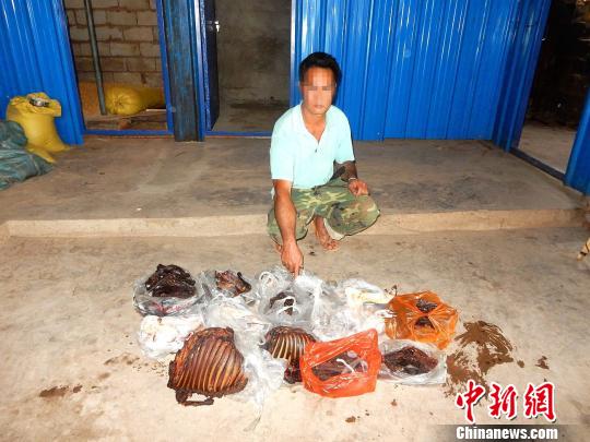 犯罪嫌疑人指认野生动物制品。 蒋碧和 摄