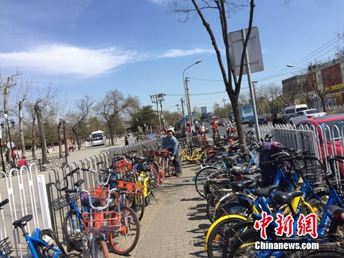 圆明园附近一段人行道被共享单车挤占了不少地方。中新网 吴涛 摄