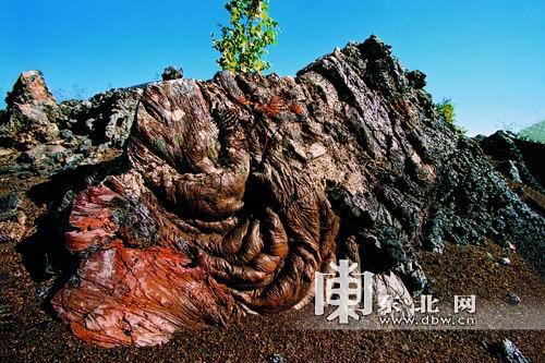 来五大连池 带你走近14座火山锥|教科书|火山|五