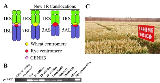 动物回交是什么情况？难道就没有伦理道德的问题吗？...