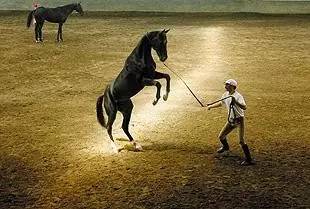 【有趣】 躺着赚钱 是真的!床上躺两月工资10万