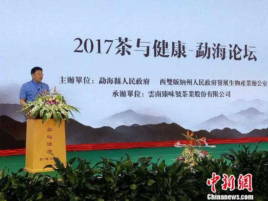 图为勐海县县长张世影致辞。 史广林 摄