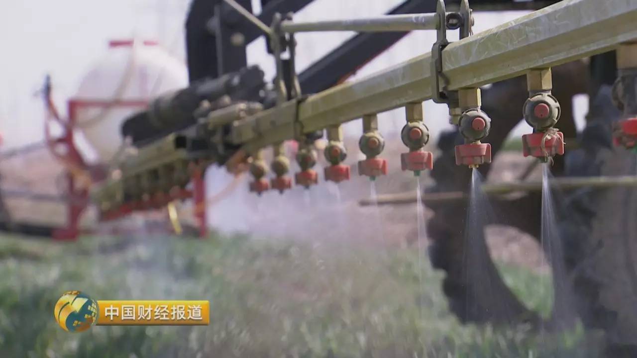 【调查】中国,世界第一大产麦国!为啥还每年进