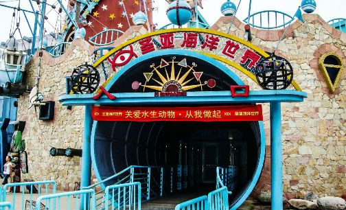 大连圣亚2016年净利降超两成|大连圣亚|迪士尼