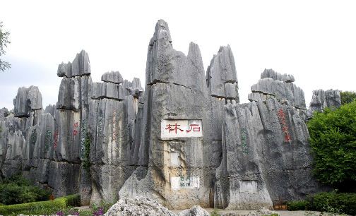 昆明11家旅行社因不合理低价游被罚|阮成发