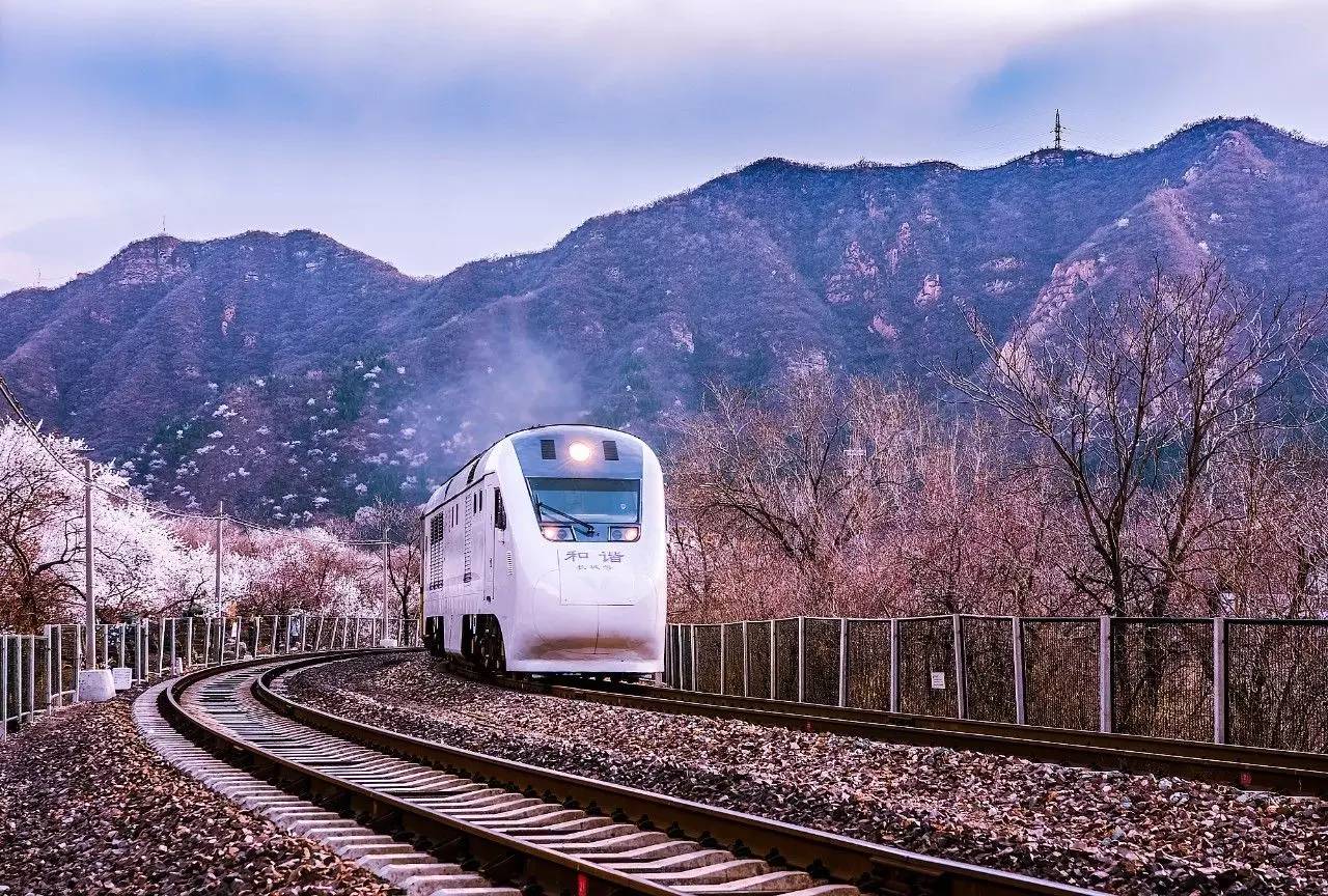 关注 | 游客为拍美景穿越铁轨 居庸关花海列车