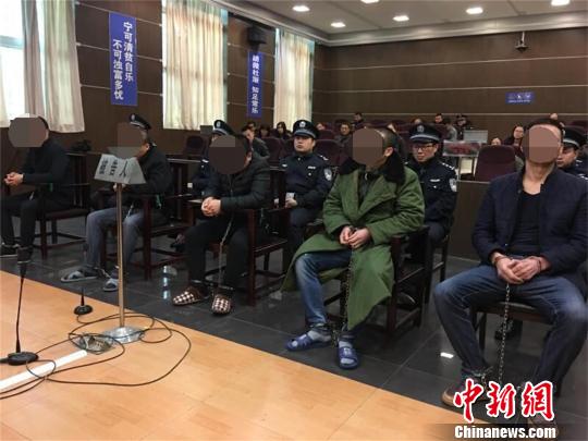 庭审现场的5名被告人 钟欣 摄