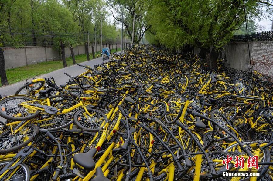点击查看大图 北京万辆损坏共享单车堆成山 绵延300米