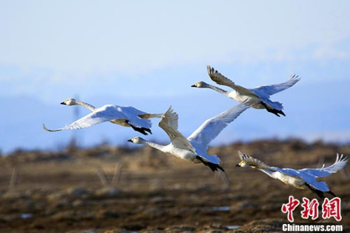 <a target=\\'_blank\\' data-cke-saved-href=\\ href=\\'http://www.chinanews.com/\\'>中新社</a>记者 刘是何 摄