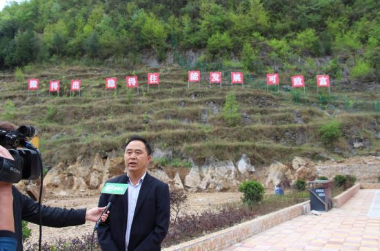 4月11日,月照社区党委副书记主任杜锦接受记者采访