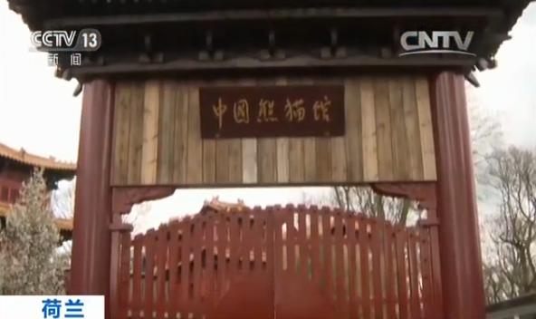 中国欧维汉斯动物园的中式家具等待荷兰大熊誉宫殿广州科图片