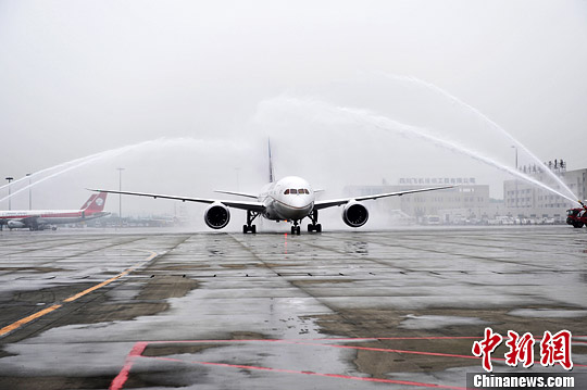 图为美联航8号航班波音787-8梦幻客机。中新社发 安源 摄