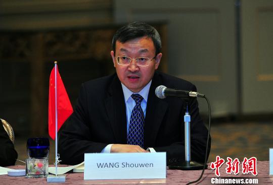 中国商务部副部长王受文发言。　王健 摄