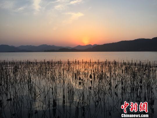 杭州定位建设世界名城 力塑满城诗意满城美