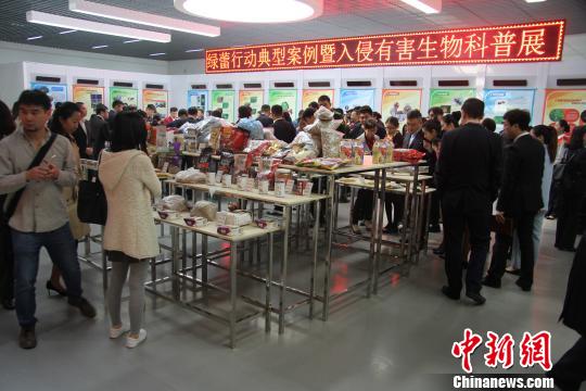 图为与会人员参观典型非法进境物样品和入侵有害生物科普展 陈静 摄