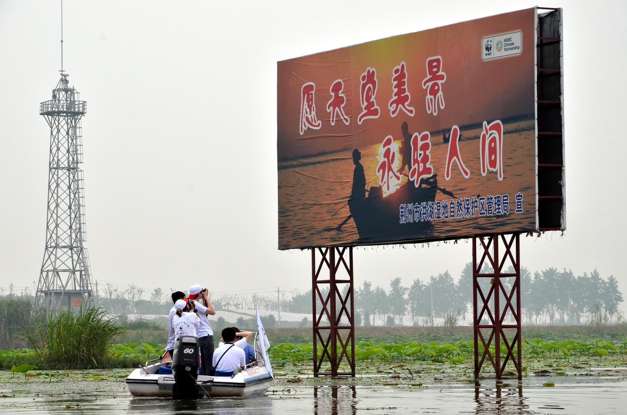 洪湖经济总量_洪湖赤卫队(3)