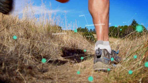 真能赚到吗?都在体育上砸钱,国内海外套路大不