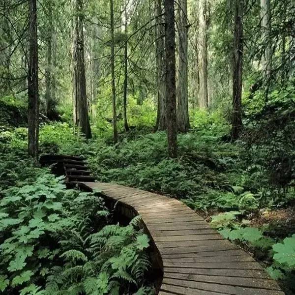 【荐读】什么是好人品|人民日报|人品|莫问