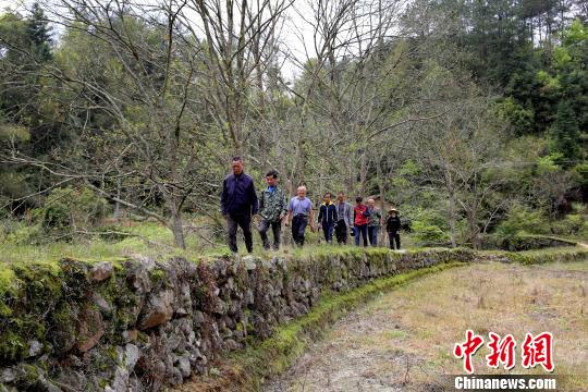 江西省修水县文物工作者日前在宁州镇范塅村发现修建于清朝康熙年间的客家河堤。 黄一魏 摄