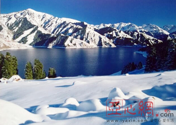 家在阜康---孙国富摄影作品展开幕|新疆|阜康