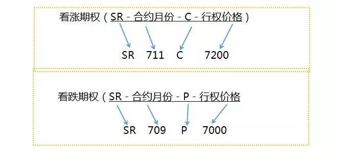 郑商所期权专家权威讲解白糖期权交易规则|白