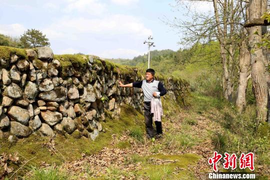 河堤长约400米,顶部宽度在60公分至100公分之间,高度约两米,由石料砌筑而成。 黄一魏 摄