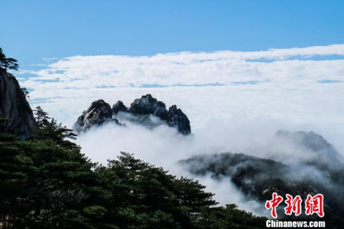 资料图：安徽黄山风景区 李金刚 摄