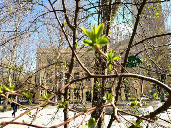 黑龙江今起迎今雨水降温 累计降幅超10℃