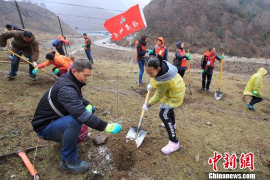 图为志愿者公益植树。 崔琳 摄