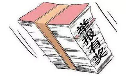 重奖举报间谍会引发冤案?专家:民众无定性权|李伟|维基解密|广州日报_新浪财经_新浪网