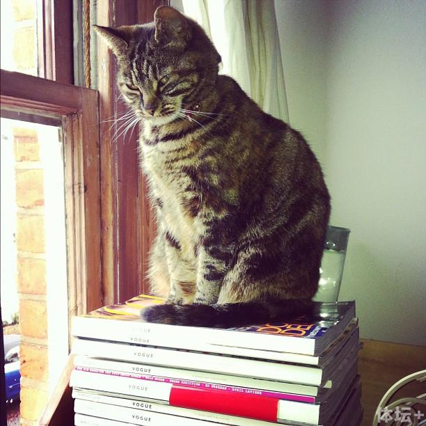 ڳƵս׻֮ һЩŮͼƬ