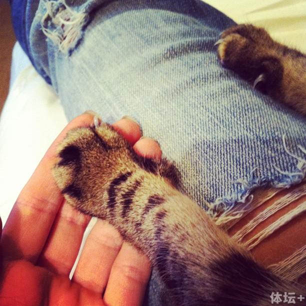 ڳƵս׻֮ һЩŮͼƬ