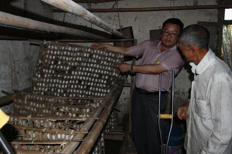 重庆市忠县审计局:重大政策措施跟踪审计重点