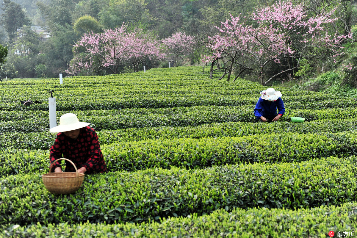 贵州一季度GDP增长10.2% 增速连续25个季度
