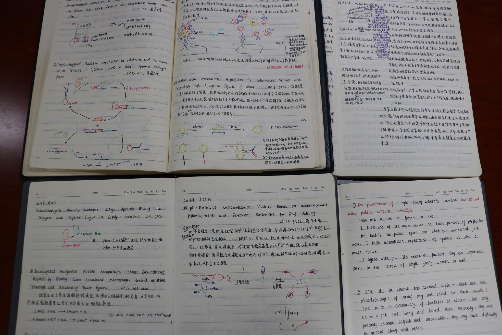 【瞧,实验室里的年轻人】何磊:我的快乐科学观