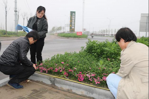湖北石首审计积极服务国家园林城市建设|审计