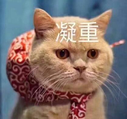 米6开看手机厂商们玩的曲面屏的文字游戏|小