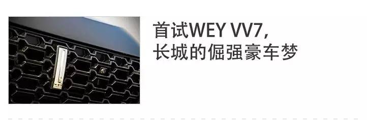 专访沃尔夫冈·艾格:比亚迪的设计团队正需要一个领袖人物