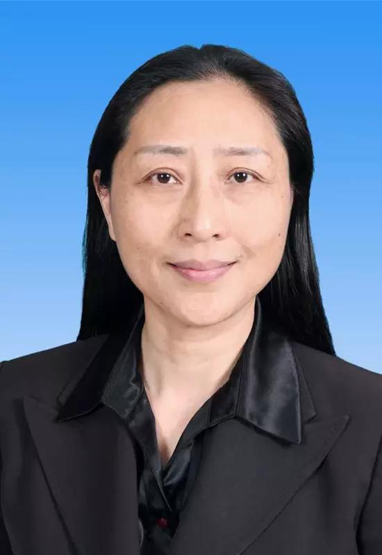 人事|高小玫当选民革上海市委主委|研究室|选举