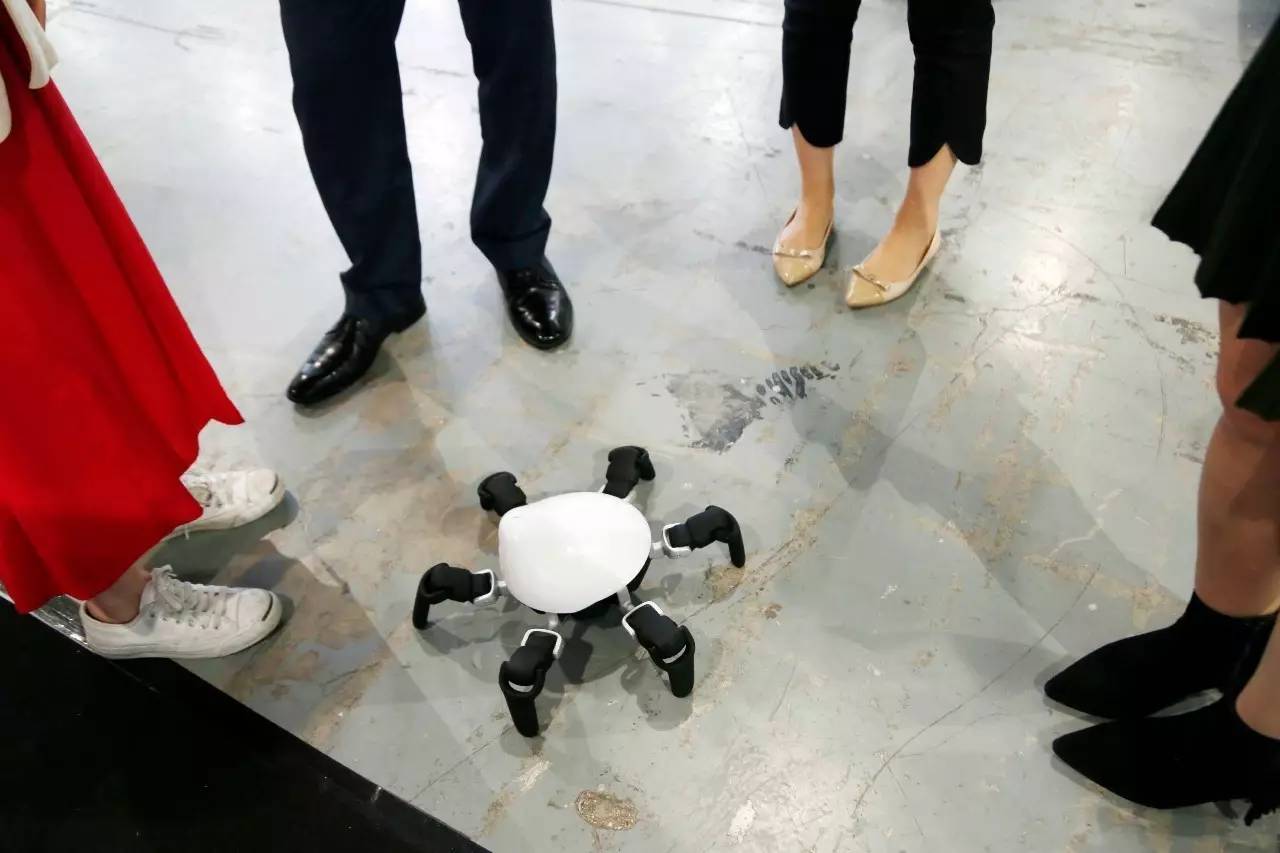 视线 | 下一个改变你生活的产品会是什么? 养个