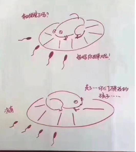 戳心啦!难怪《小蝌蚪找妈妈外传》刷屏.…|虎妈