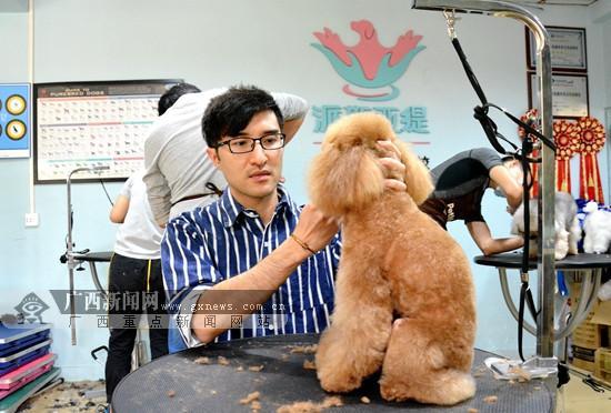 初探南宁宠物美容师行业 导师级年薪可达百万