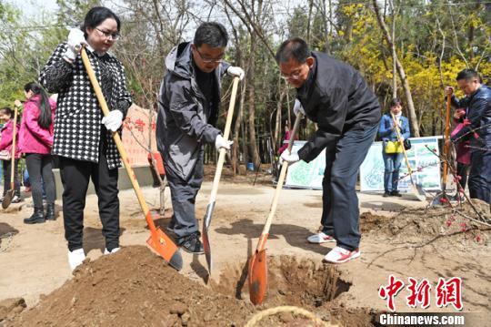 图为植树活动现场。 杨艳敏 摄