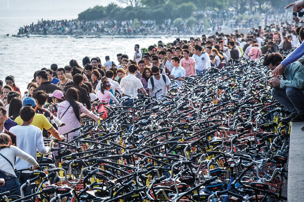 2017年4月3日，清明小长假第二日，深圳湾的游客将大量的共享单车停放在栈道上。图/CFP