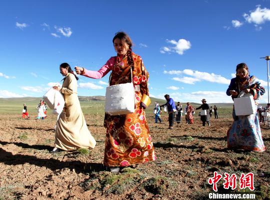 图为青海省玉树藏族自治州曲麻莱县民众着节日盛装,播撒草籽,呼吁大众保护三江源生态。(资料图) 胡贵龙 摄
