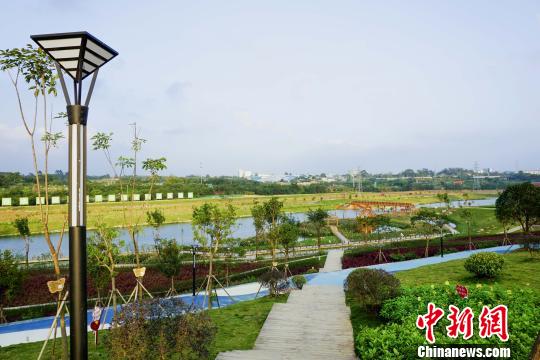 图为生态综合整治后的南宁那考河景观。 南水宣 摄