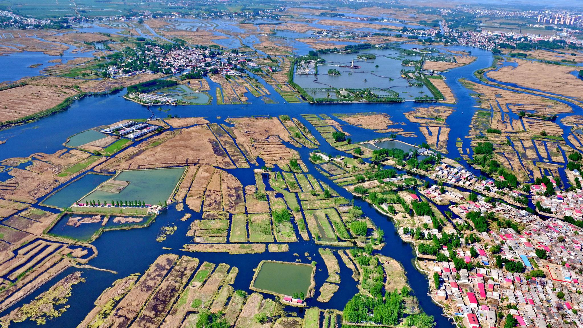 白洋淀百姓畅想雄安新区未来|白洋淀|新区|容城